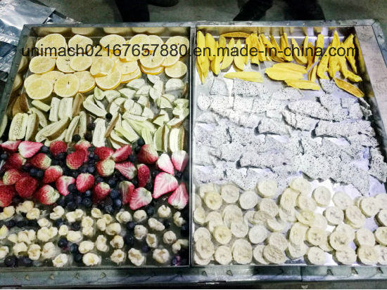 High Quality Food Freeze Dryer
