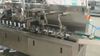 Alu-PVC Blister Packaging and Auto Cartoner Full Production Line (BZX-120B)