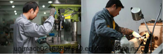 Automatic High Speed Shrink Wrapping Machine for Cup Milk Tea