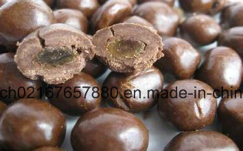 Water Chestnut Simplified Sugar Tablet Chocolate and Film Coating Machine