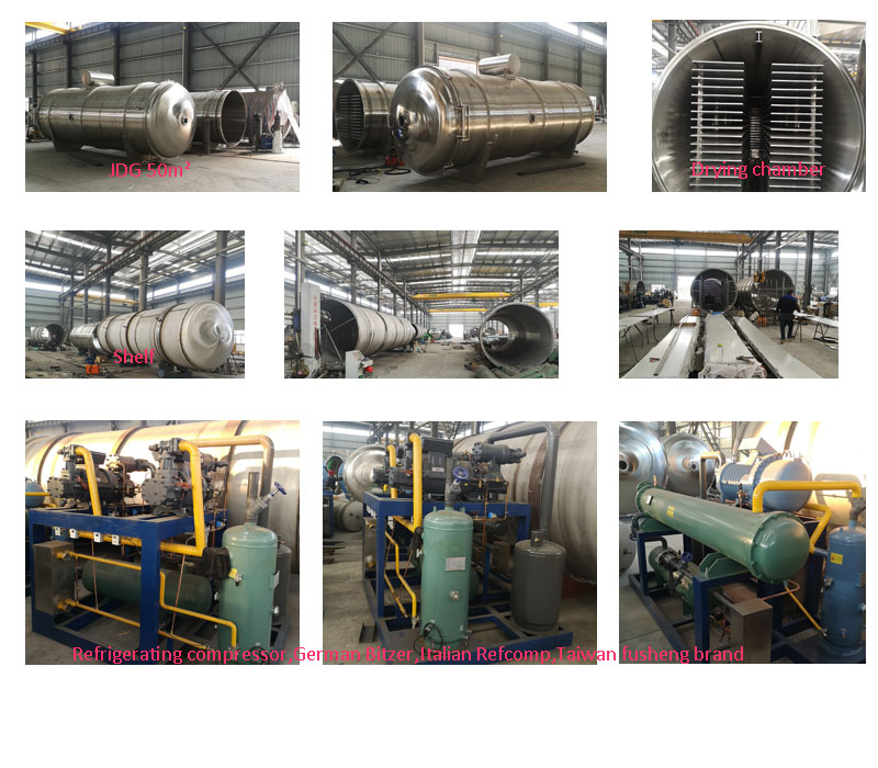 JDG-50 Food Freeze Dryer for Pet food 